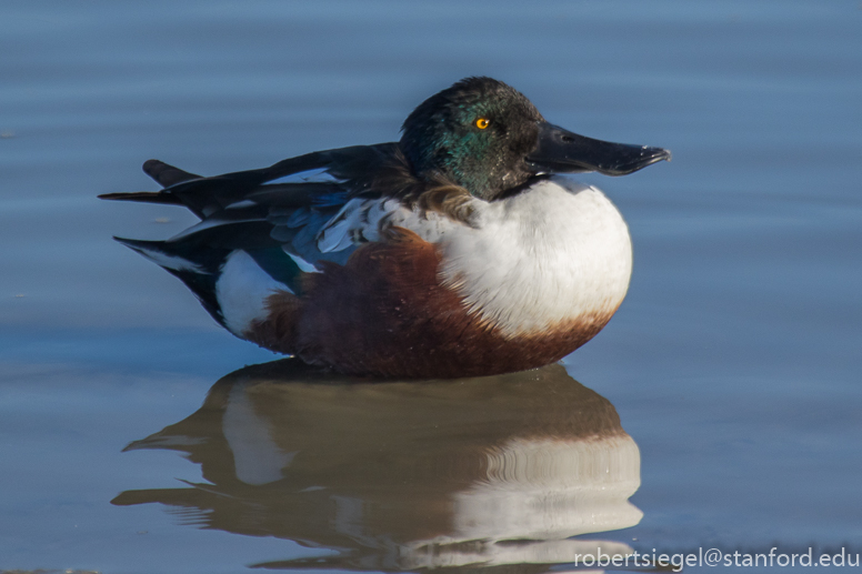 baylands